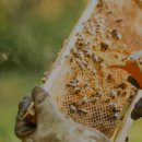 정태농장 이미지