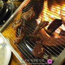 나노갈매기 이미지