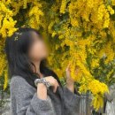 호텔포마 이미지