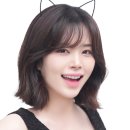 옥탑방 고양이 이미지