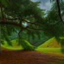 경주 삼릉 소나무숲 우중 출사 풍경 소개 합니다 이미지