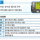 고려선인장