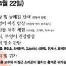 웰빙여행 이미지