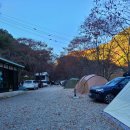 예그리나 B 이미지