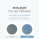 자이언트 클린 이미지