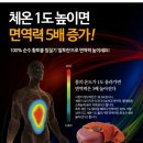 샤프메즈 이미지