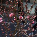 거창읍-24 이미지