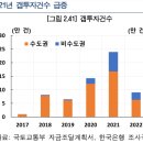 역전세난에 DSR 일부 완화하면 ‘갭투자 지원책’ 된다[부채도사] 이미지