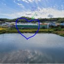 프로텍사옥 이미지