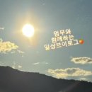 멈무는하루 이미지