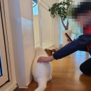 고영주택 이미지