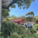 수원-0798 | 수원 피자 맛집 로우파이브! 세 번 이상 방문한 찐 후기 (웨이팅, 주차, 메뉴) | 본점