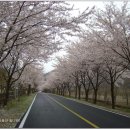 길벗식당 이미지