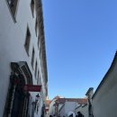 11500-5-48-08 | 유럽여행 체코 프라하성 자유여행코스 가는법 입장권 티켓 입장료 프라하성 스타벅스 후기