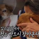 봉희농장 이미지