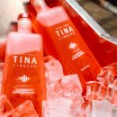티나 엘이디(TiNA LED)