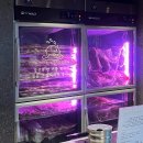 고기장인 수 홍대본점 | 홍대 합정 카와카츠 웨이팅 히레, 로스 돈까스 후기