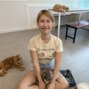 냥떼목장 이미지