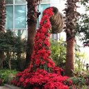 지리산허브벨리 이미지