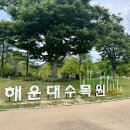 상수도사업본부 사하사업소화장실 | 부산 해운대 나들이 데이트 가볼만한 곳 해운대수목원