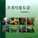 식물도감 네이버블로그