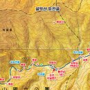 둔전골 Daum카페