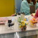 레오네식탁 이미지