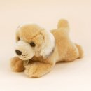 오로라월드(주) 이미지