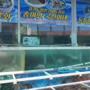 송이와 국진이네