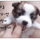 복있는집 이미지