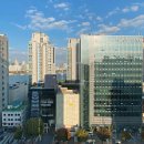 더오키드청담