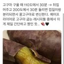 오롯이스시 네이버블로그