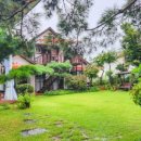 남이섬 하늘사랑 이미지