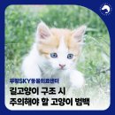 부일동물병원 네이버블로그