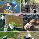 3형제농장 이미지