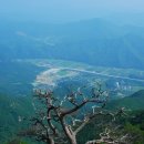 금화고속관광 이미지