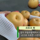 호준농장 이미지