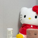 해진유통 | 담백하루유산균 프로바이오틱스 배변 탈출 유산균추천 후기