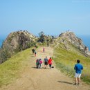 민기목장 이미지