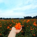 (주)시운 이미지