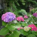 남서대로 이미지