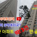 [부동산이야기] 세종시 아파트 34평이 3억대라구? 똘똘한 아파트 딱! 3채만 골랐다 이미지