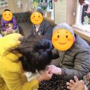 신바람 체조 이미지