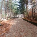 용성태양광발전소 이미지