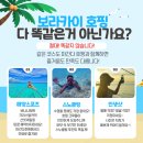 보라카이프린스
