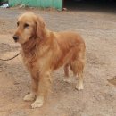 오례농장 이미지