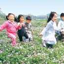 [종신보험.변액]변액유니버셜보험 비과세 함정 헛점 이미지