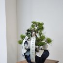 만수무강약국 이미지