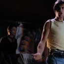 베이비 피그 Baby Pig 이미지