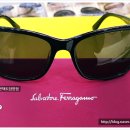 일공공 안경 콘택트 담양점 이미지